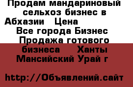 Продам мандариновый сельхоз-бизнес в Абхазии › Цена ­ 1 000 000 - Все города Бизнес » Продажа готового бизнеса   . Ханты-Мансийский,Урай г.